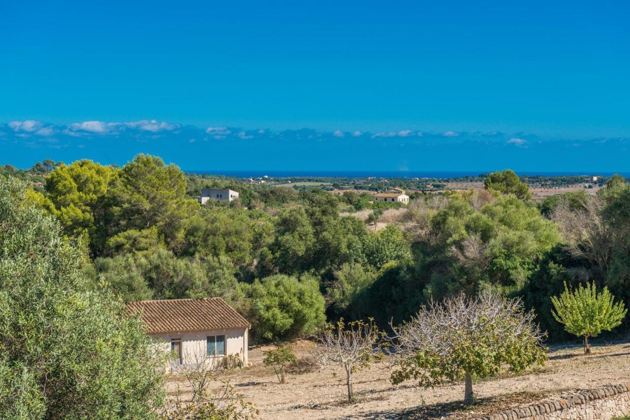 Finca Son Colom Manacor  Buitenkant foto